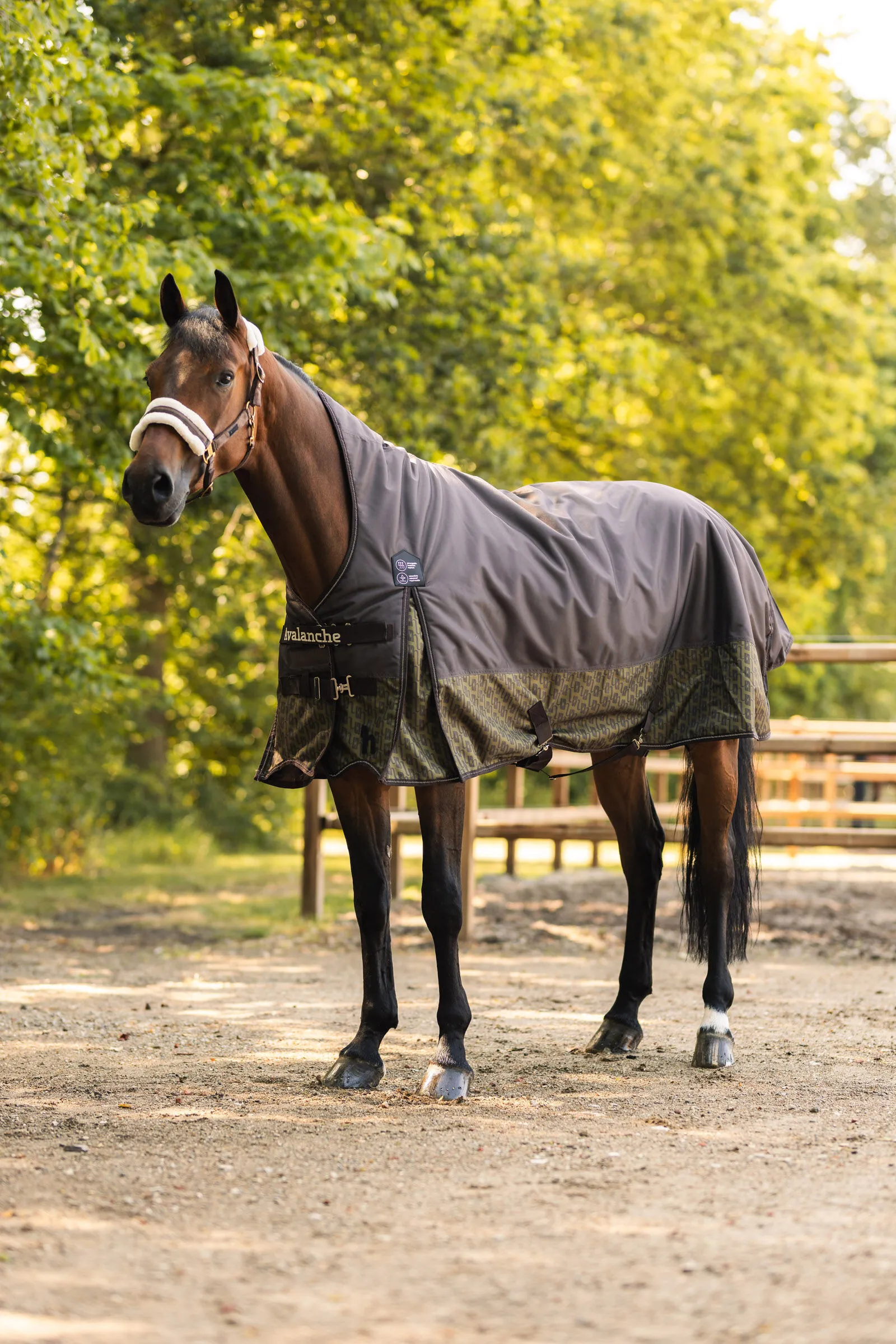 Coperta pesante Horze Avalanche Winter Turnout, 300g