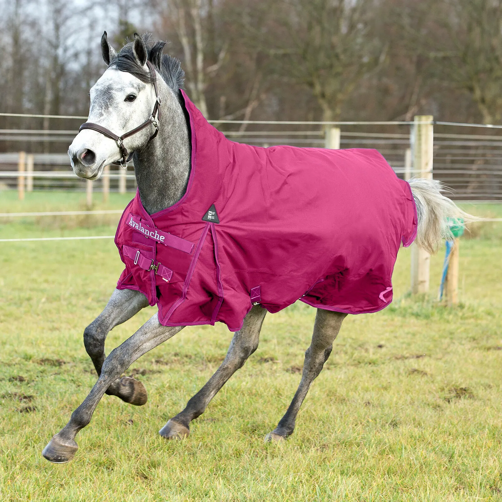 Coperta pesante Horze Avalanche Winter Turnout, 300g