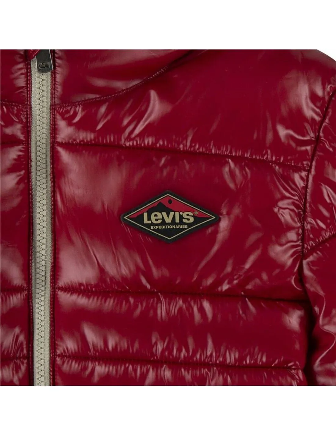 Giacca per bambini Levi's Lined Mdwt Puffer J Rhythmic Rosso Scuro