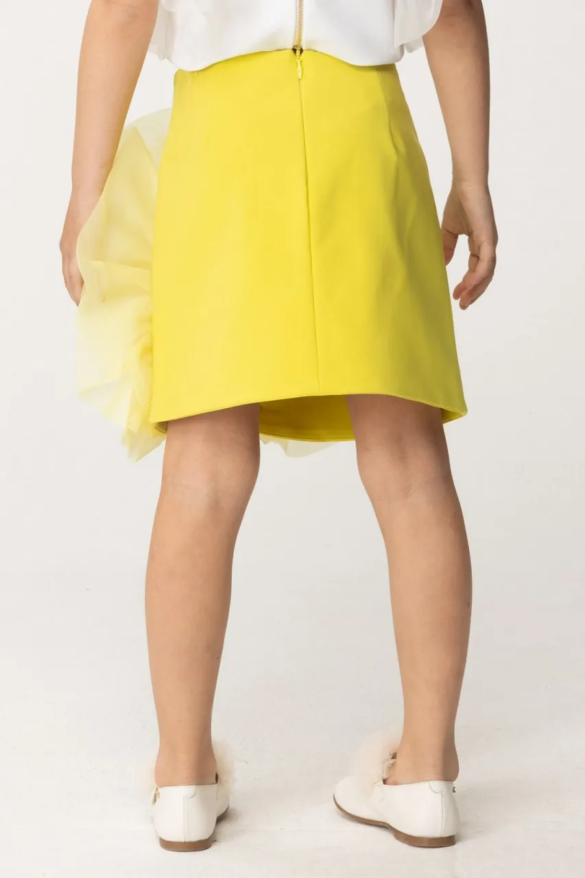 Gonna con dettaglio in organza CEDAR