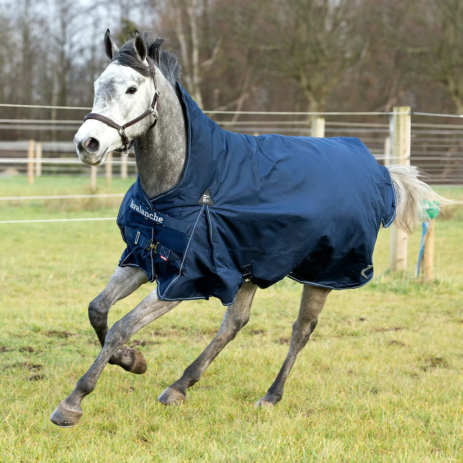 Horze Avalanche Coperta impermeabile da turnout, 0g