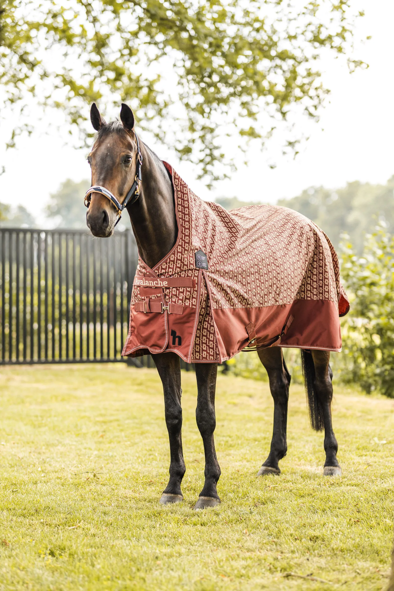 Horze Avalanche Coperta impermeabile da turnout, 0g