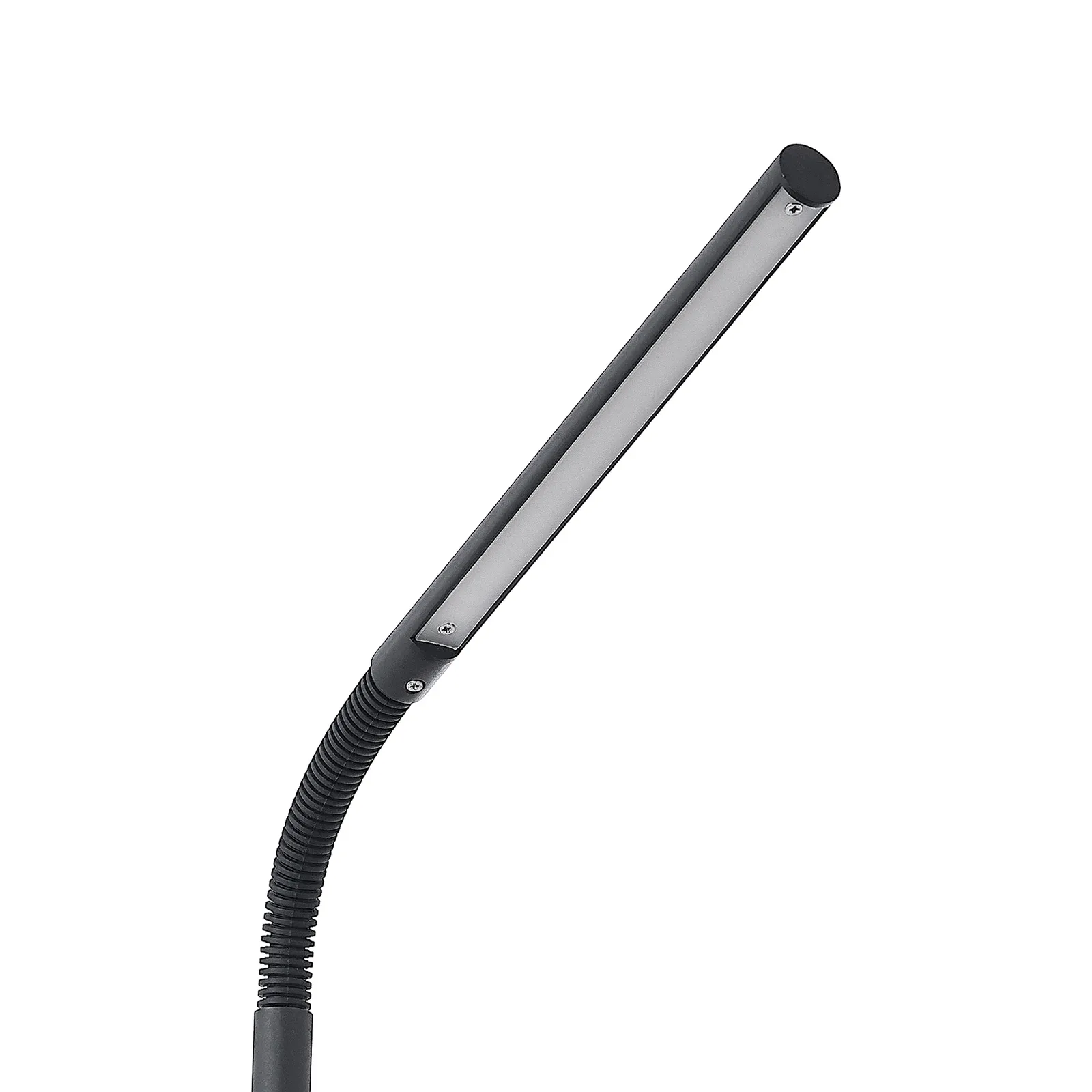 Lindby Romila piantana LED in nero