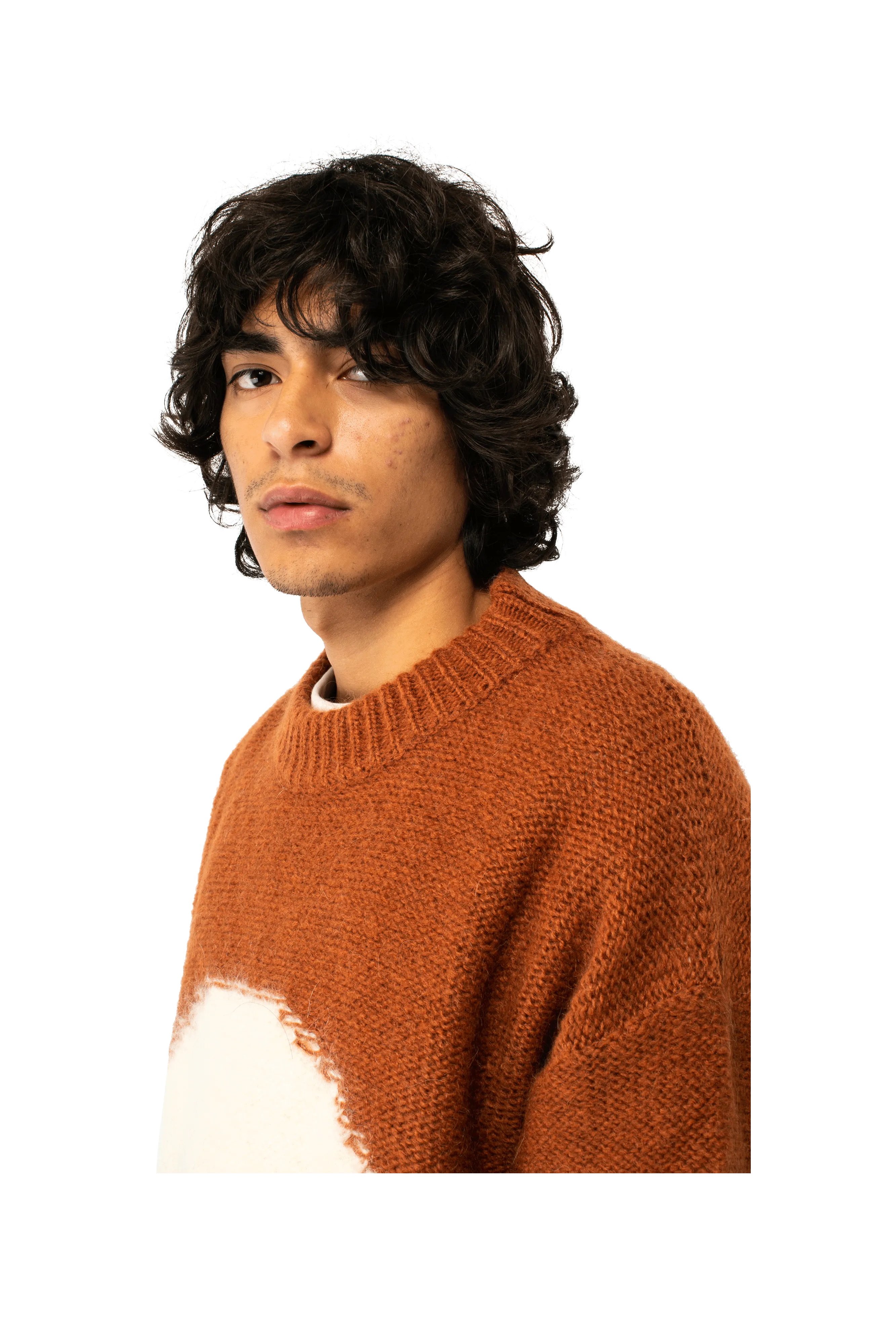 Mohair Skull Intarsia Sweater Knit