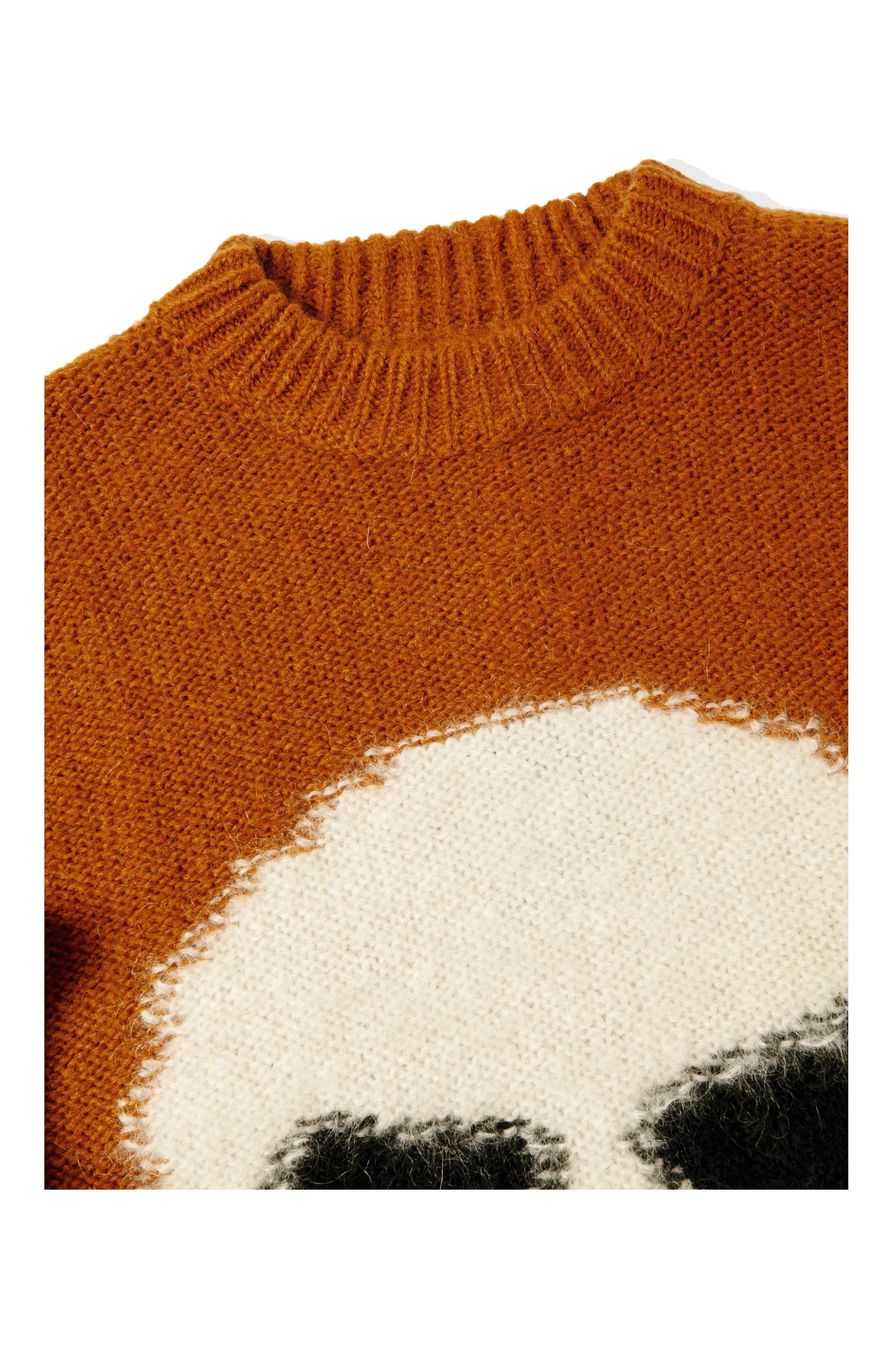 Mohair Skull Intarsia Sweater Knit
