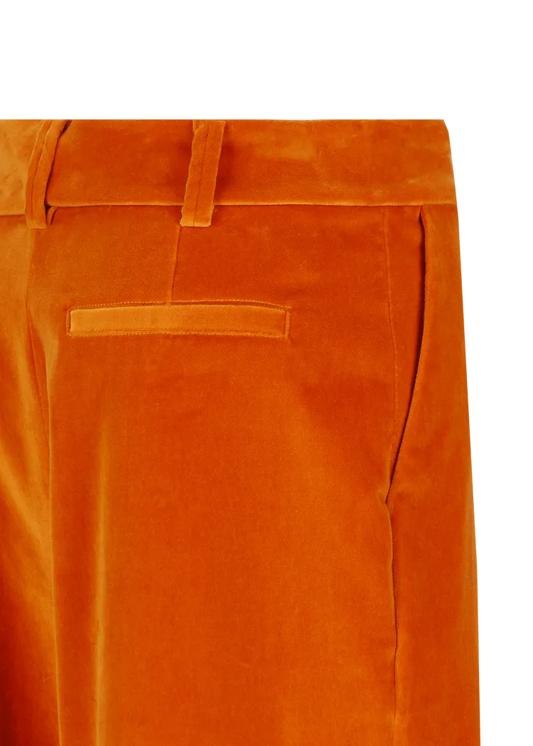 Pantaloni di velluto plissettati modello Luxara    