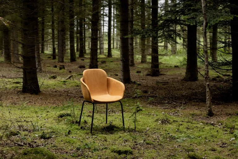 sedia con braccioli Chair no. One S2