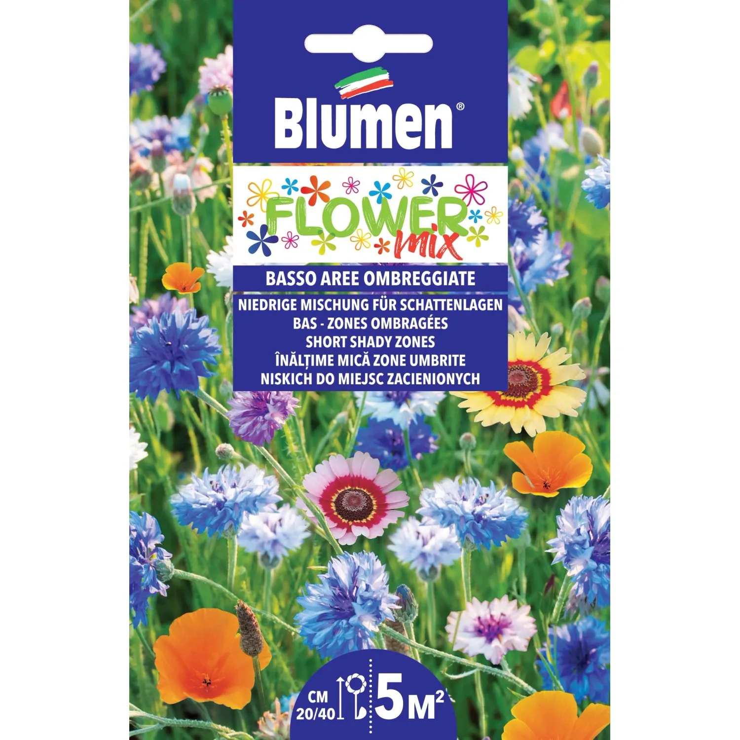 Semi mix di fiori bassi per aree ombreggiate